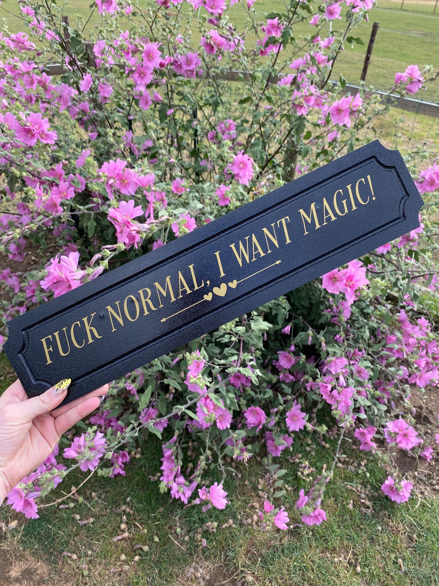 Fuck Normal, I Want Magic!