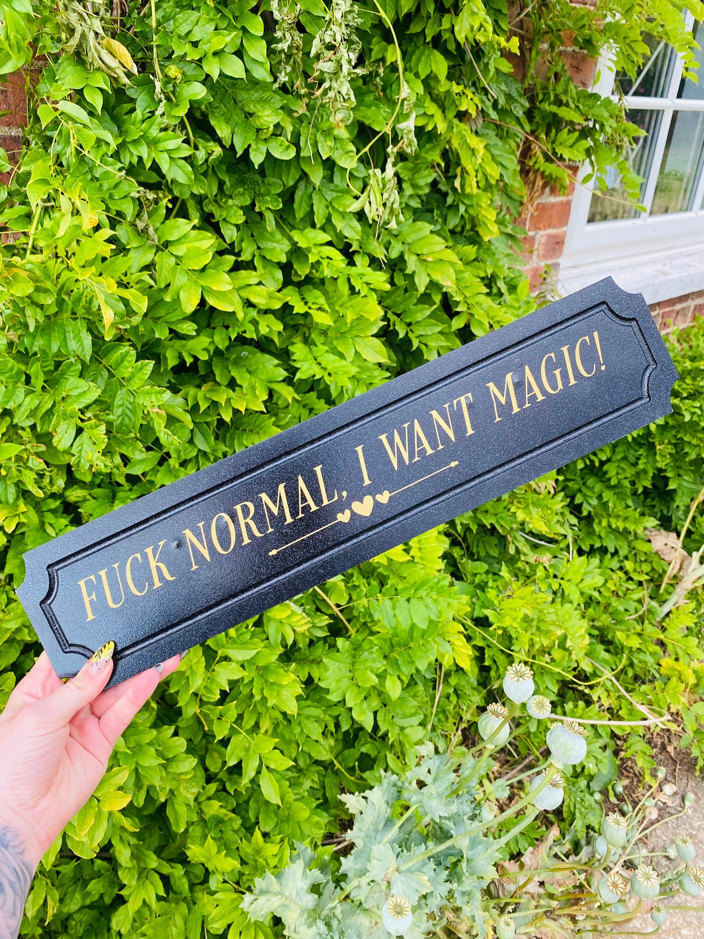 Fuck Normal, I Want Magic!